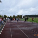 szatf 14